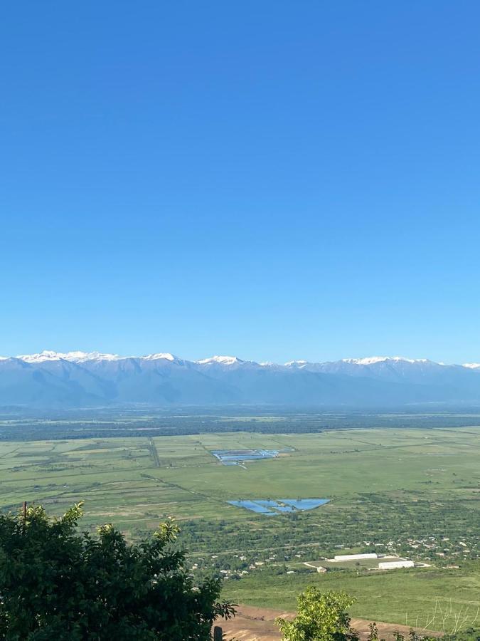 Panorama Hotel Sighnaghi Bagian luar foto